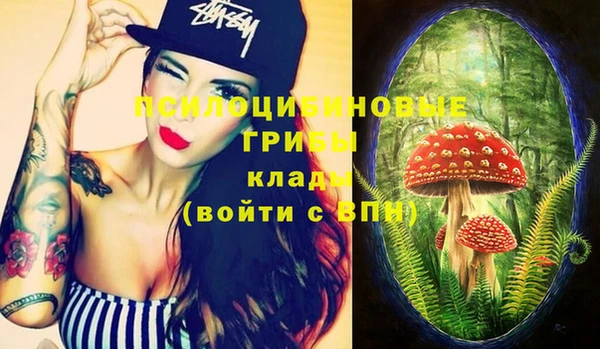 ECSTASY Алексеевка