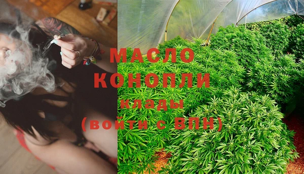 амф Пестово