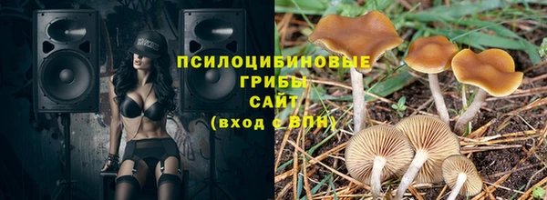 МДПВ Алексин