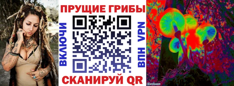 darknet состав  Устюжна  Псилоцибиновые грибы MAGIC MUSHROOMS  что такое   KRAKEN  